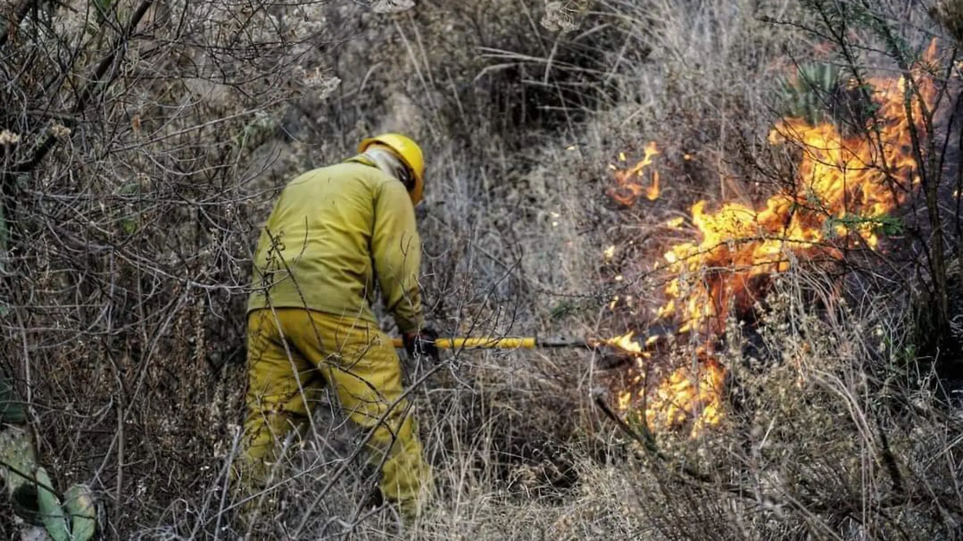 Incendio San Sebastian